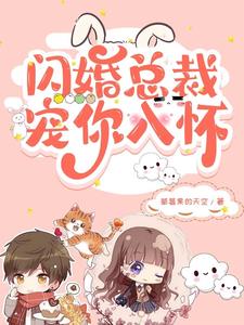 闪婚总裁宠妻指南